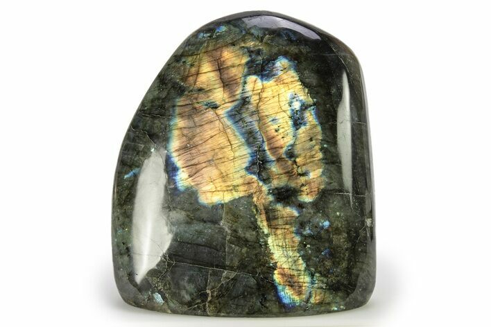 Flashy, Free-Standing Polished Labradorite - Madagascar #268100